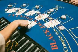 ct777i Blackjack Livebets